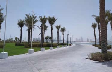 Saadiyat Beach Villas (For Rent)