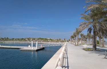 Saadiyat Beach Villas (For Rent)